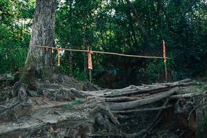 BIB: 
                            <button type="button" onclick="openModal(27755010)" class="btn btn-primary btn-sm float-right btn-popup" data-toggle="modal" data-target=".modal-high-quality">
                        <i class="fas fa-shopping-cart"></i> Add to Cart
                    </button>
                                            <button type="button" onclick="isThisMe(27755010, true)" class="btn btn-success btn-sm float-right btn-popup btn-isme hidden" data-toggle="tooltip" data-placement="bottom" title="นี่คือรูปของคุณใช่ไหม คลิกที่นี่เพื่อเอาเข้าอัลบั้ม">
                        <i class="fas fa-plus"></i> Add to album
                    </button>
                    <button type="button" onclick="isThisMe(27755010, false)" class="btn btn-warning btn-sm float-right btn-popup btn-isnotme hidden">
                        <i class="fas fa-ban"></i> Remove from album
                    </button>